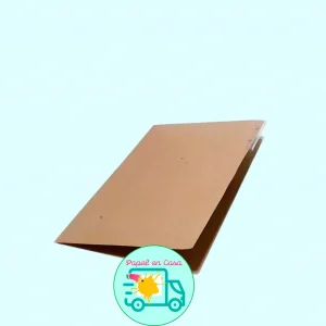 Carpeta cartón